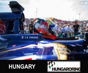 Puzzle Jean-Eric Vergne - Toro Rosso - Hungaroring, 2013